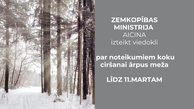 ZM sab apspriesana kuku cirsana