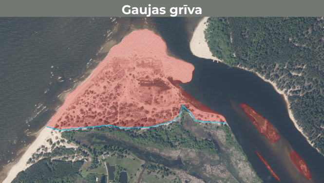 Gaujas grīva