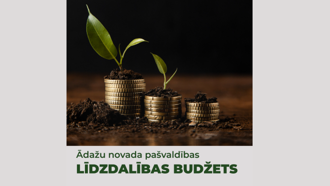 lidzdal budzet