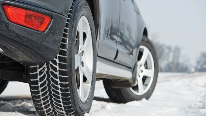 auto orientēšanās - ziemas spelgonis