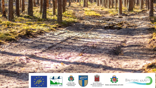 Līdz gada beigām dabas parkā turpināsies risu līdzināšanas darbi