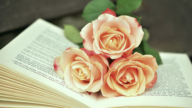 grāmata un ziedi