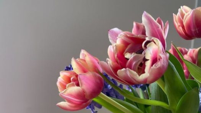 3. un 4. martā Ādažu poligonā notiks helikopteru apkalpes, kā arī tanku šaušanas kvalifikācijas mācības