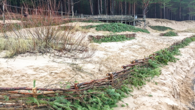 Atklāto kāpu biotopu atjaunošanas un apsaimniekošanas darbi