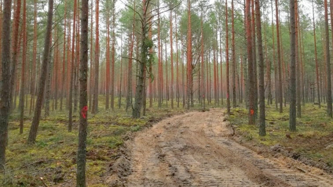 Dabas parks “Piejūra”