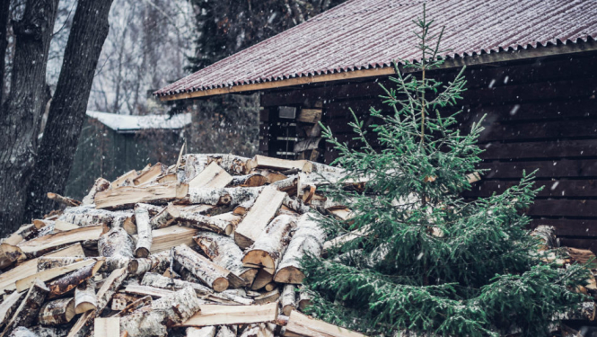 “Eco Baltia vide” pēc svētkiem eglītes pieņems šķirošanas laukumā