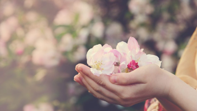 foto anita austvika momenti