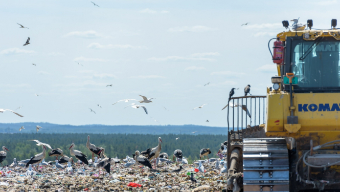 Atkritumu apsaimniekošana, foto Kaspars Garda