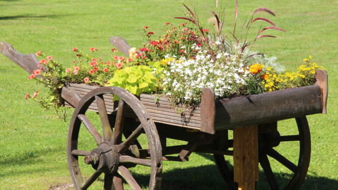 sakopta vide Ādažu novadā