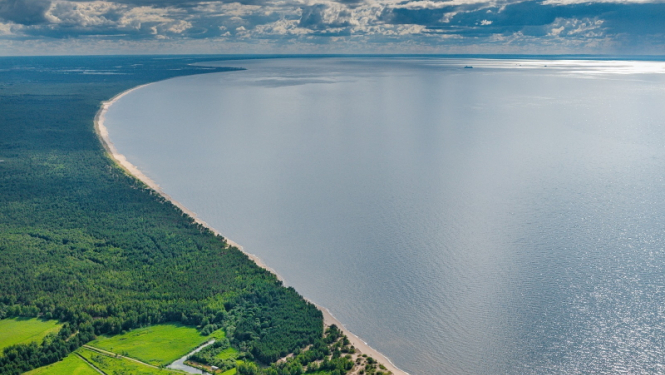 Jūra no putna lidojuma