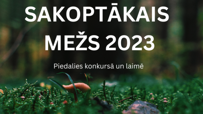 sakoptākais mežs - 2023