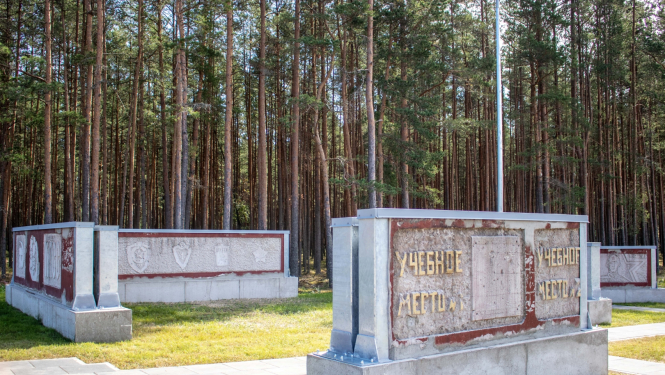 Mežgarciems, celiņš uz staciju