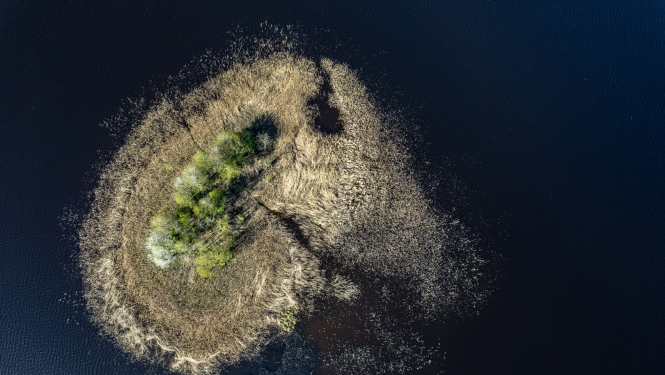 Inese Austruma "Lilastes ezers"