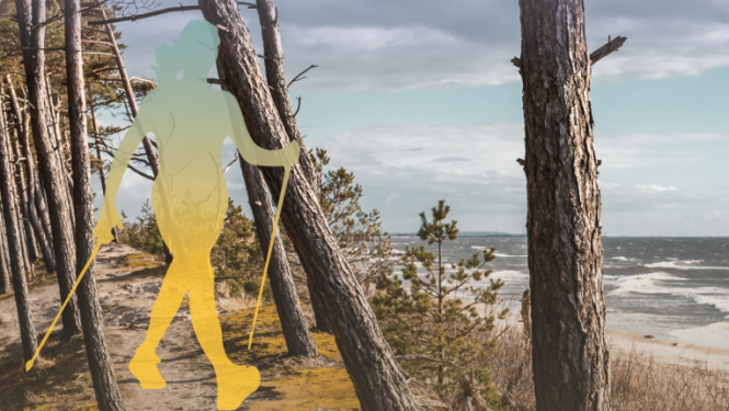 nūjošanas festivāls, carnikava, 2023