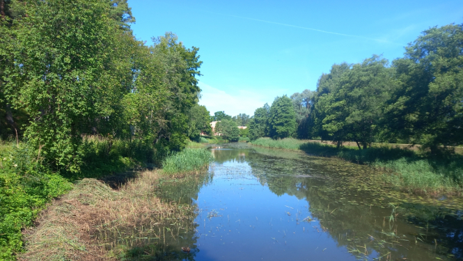 Vecgauja pēc talkas