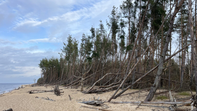 Piejūras rogainings 2025 - Carnikava