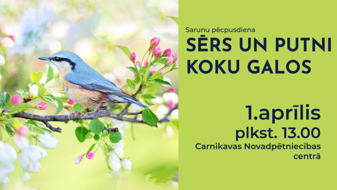 sērs-un-putni-koku-galos-saruna-01042023