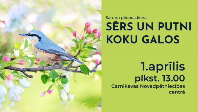 1.aprīlī notiks sarunu pēcpusdiena “Sērs un putni koku galos”