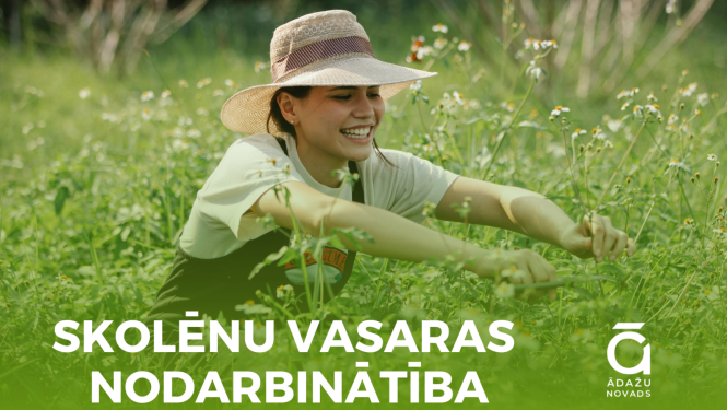 skolēnu vasaras nodarbinātība