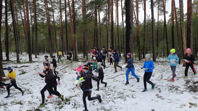 Ziemas Magnēts, starts