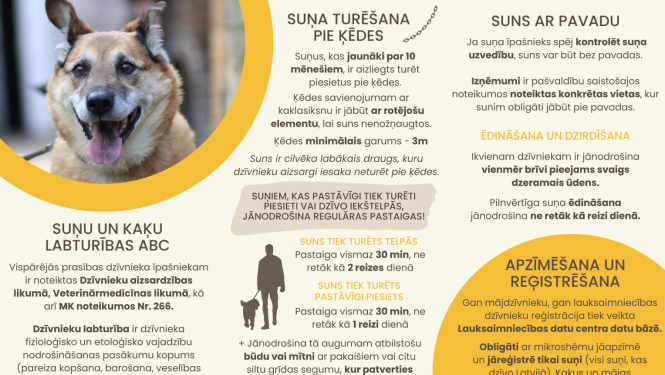 Palīdzi mazināt klaiņojošo dzīvnieku skaitu pašvaldībā: iepazīsties ar suņu un kaķu “Labturības ABC”