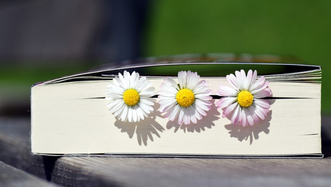 grāmata un ziedi