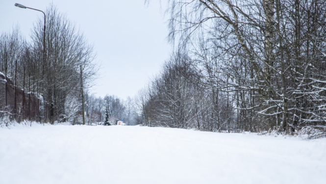 Ziemas ceļš