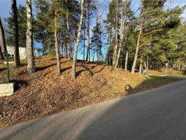 Zileņu iela 11 - foto