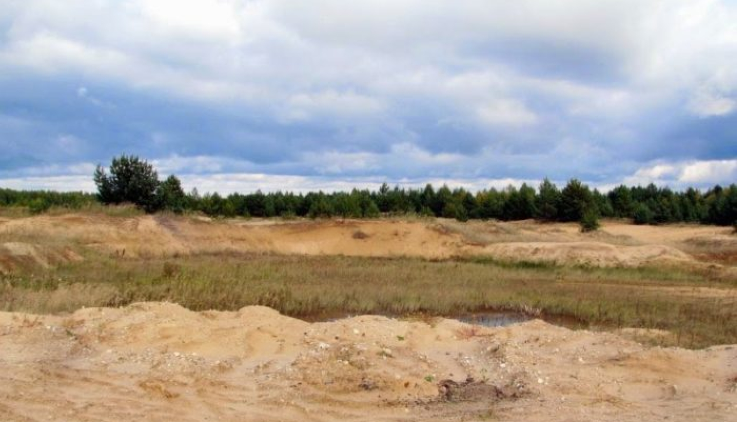 Ko darīt, ja piekrastē pamani ronēnu?