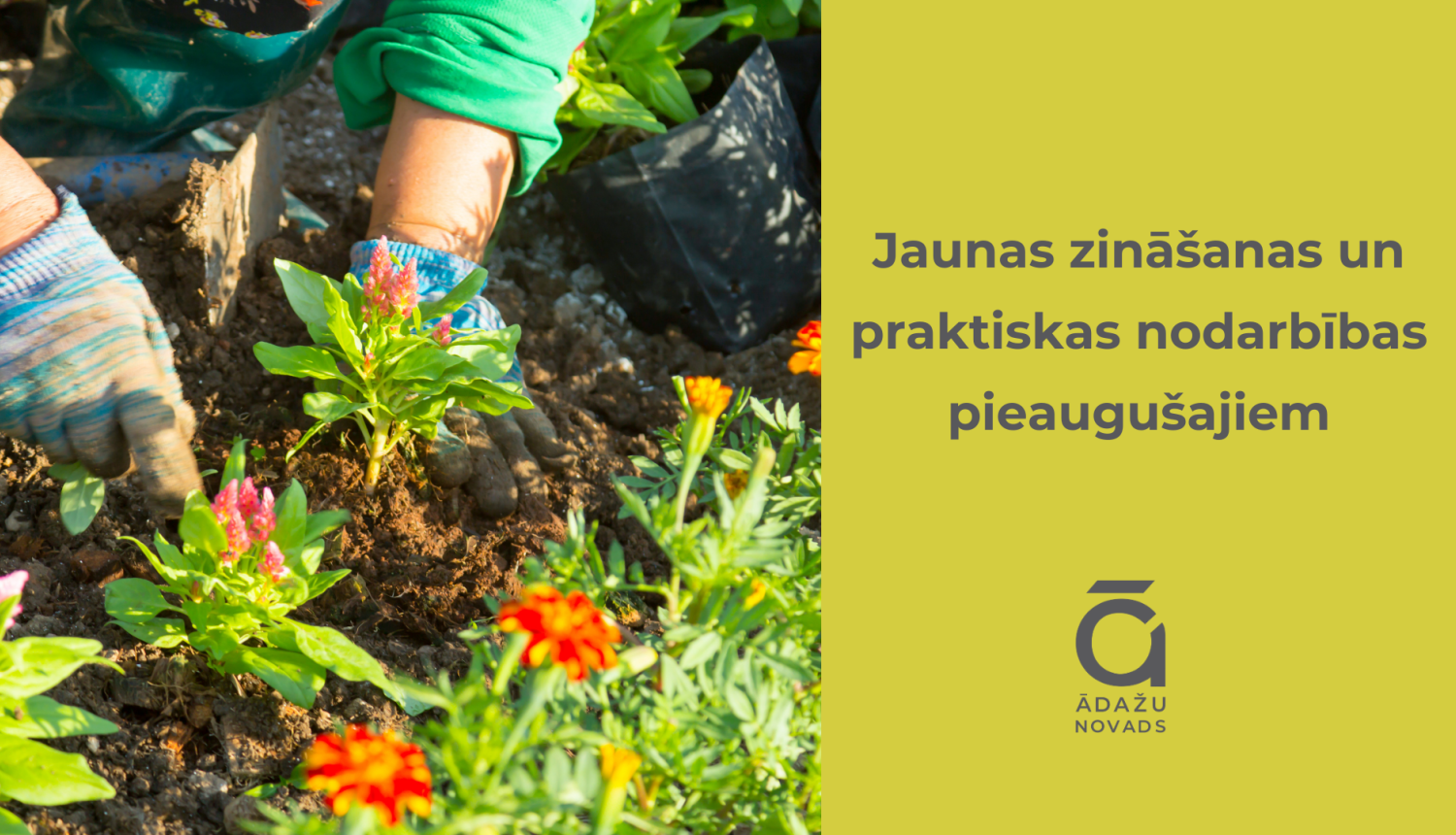 pieaug mac nodarbibas