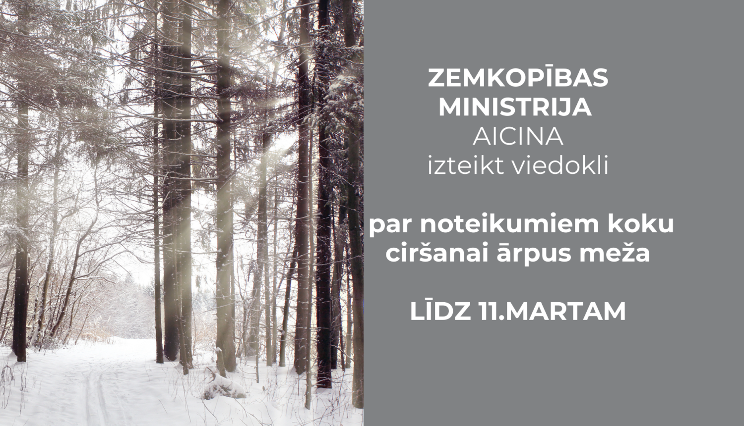 ZM sab apspriesana kuku cirsana