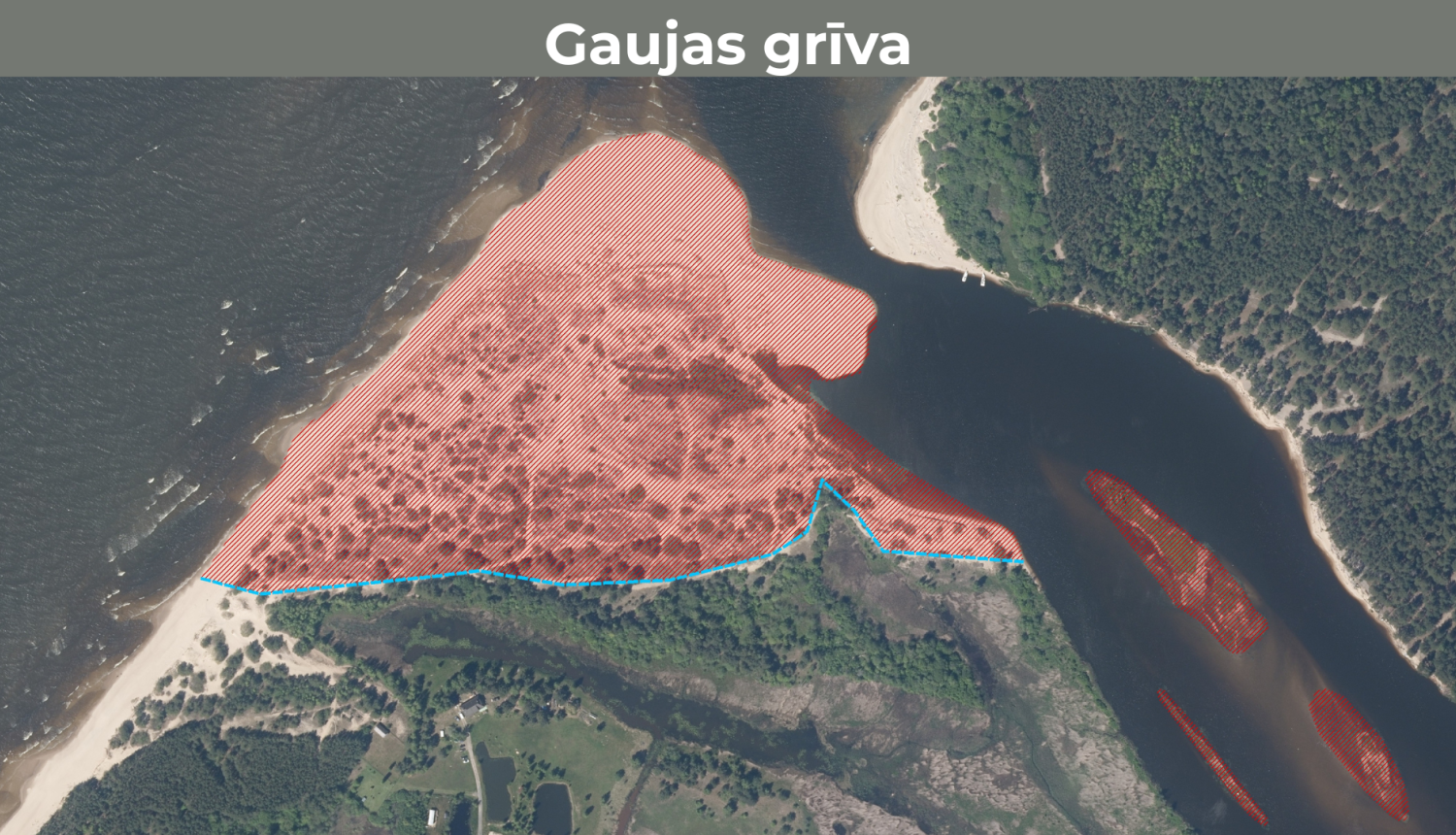 Gaujas grīva