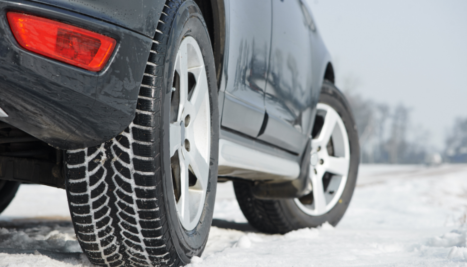 auto orientēšanās - ziemas spelgonis