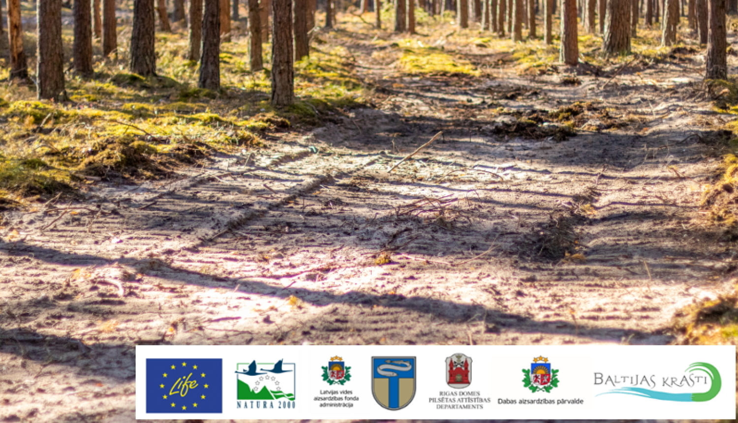 Līdz gada beigām dabas parkā turpināsies risu līdzināšanas darbi