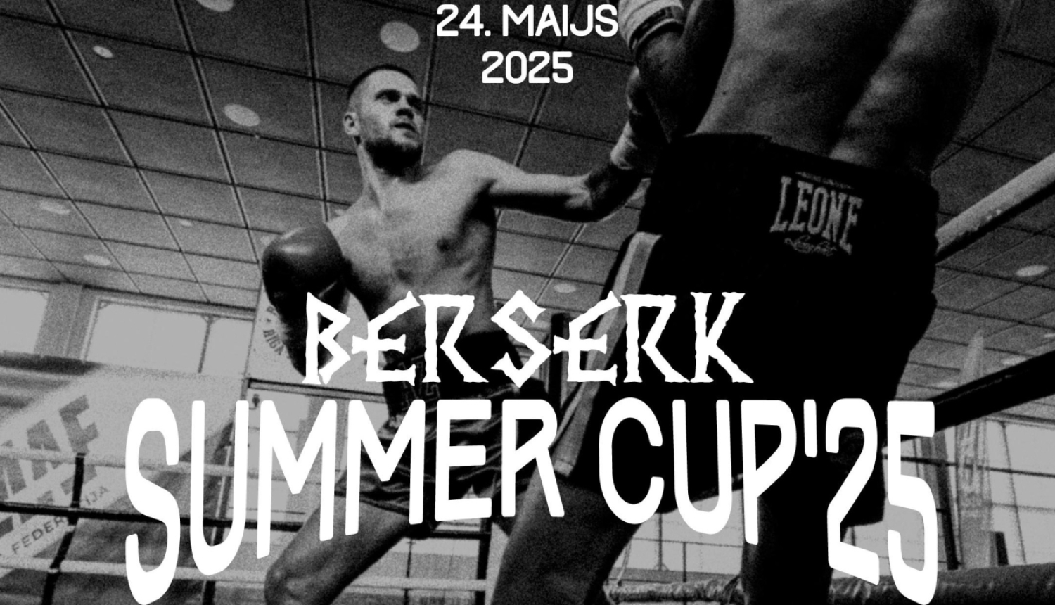 berserk summer cup 25