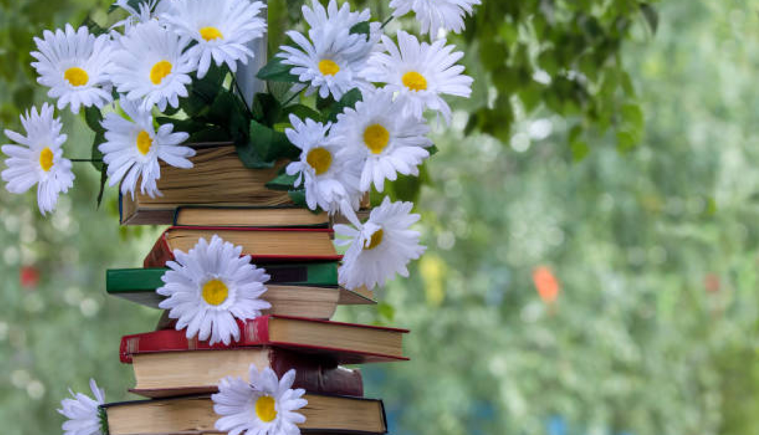 grāmata un ziedi