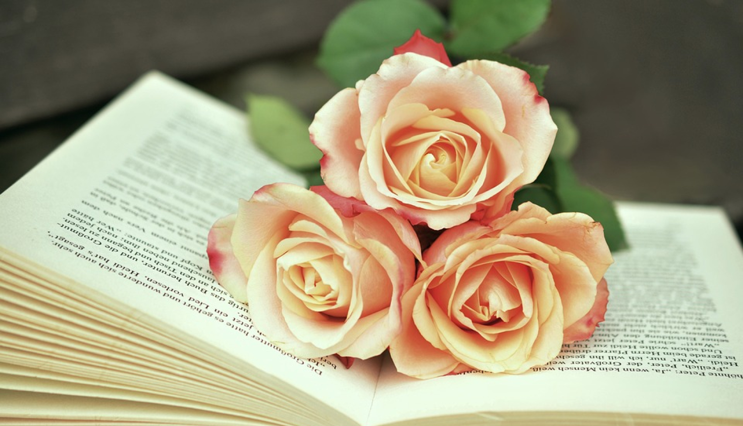 grāmata un ziedi