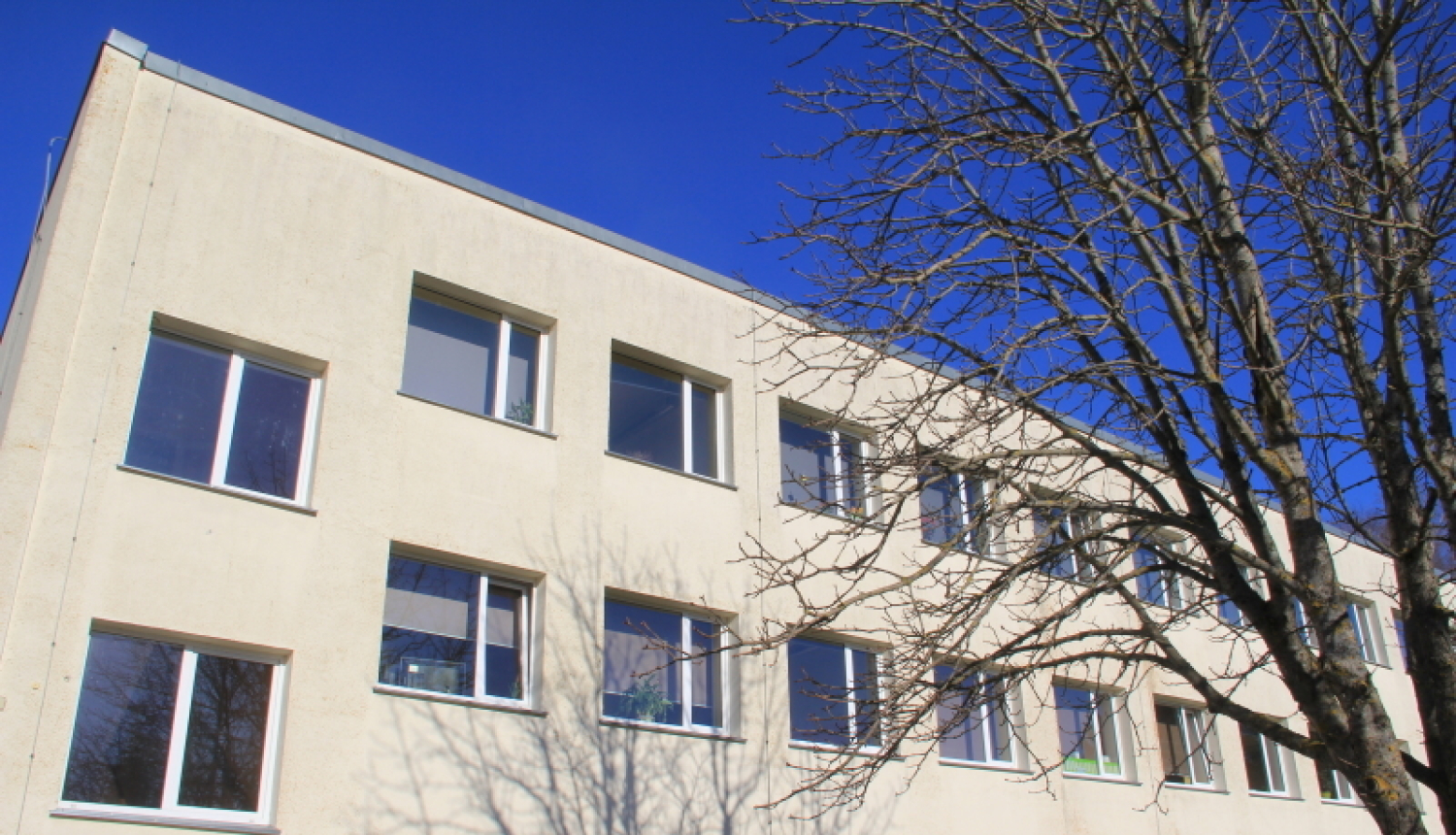 Carnikavas pamatskola