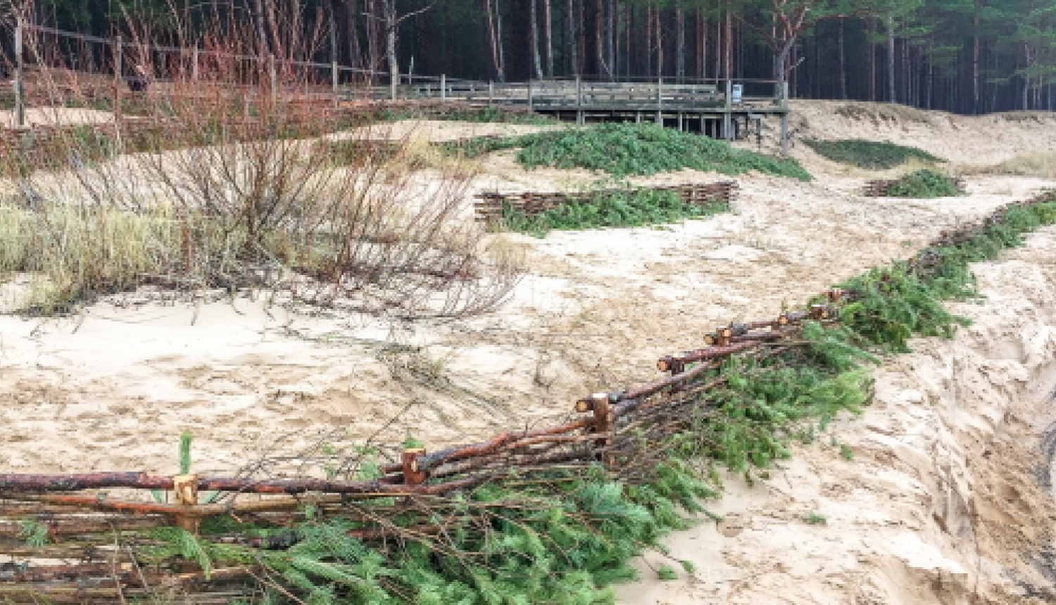 Atklāto kāpu biotopu atjaunošanas un apsaimniekošanas darbi