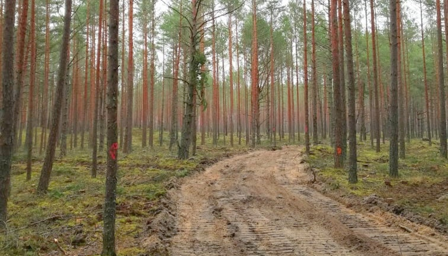 Dabas parks “Piejūra”