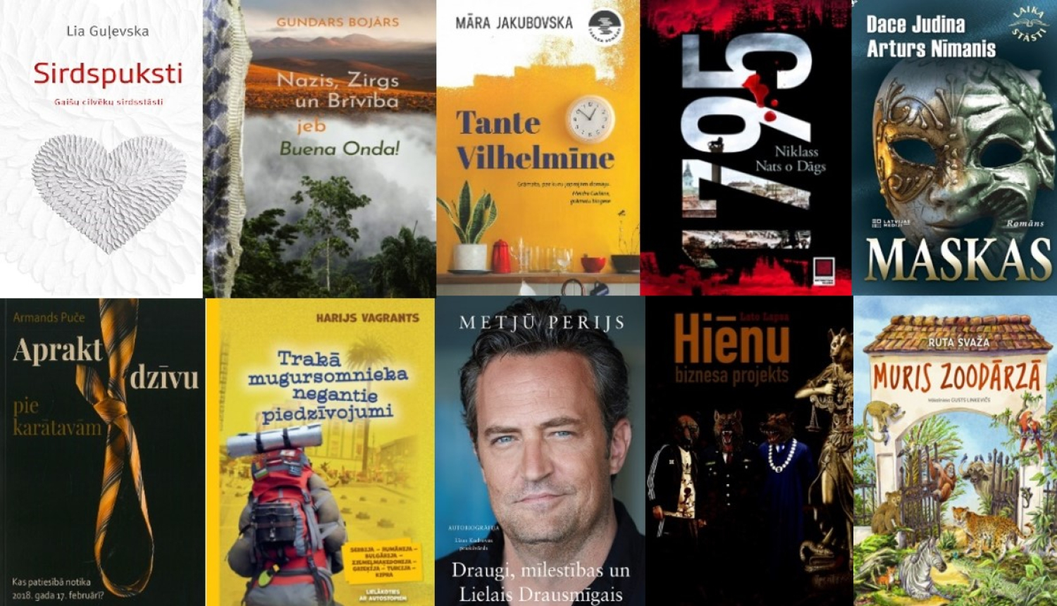 jaunākās grāmatas, Carnikavas bibliotēka, janvāris 2024