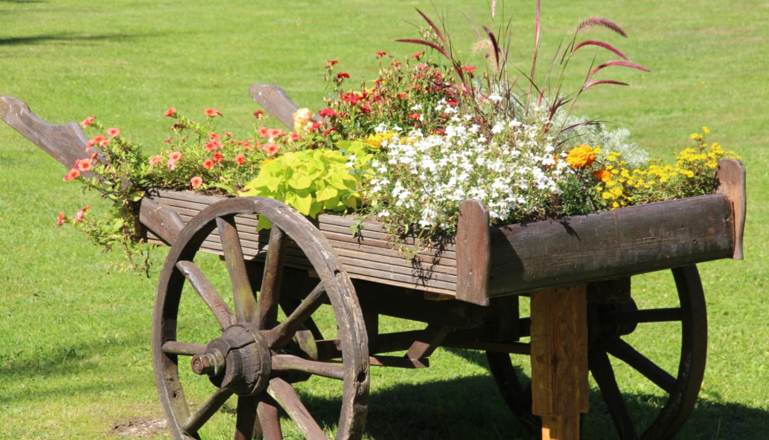 sakopta vide Ādažu novadā