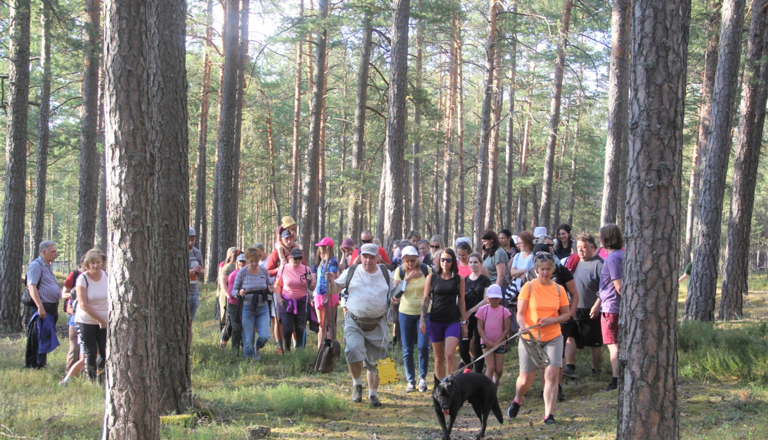 Pārgājiens Meklējot ezera lobēliju Lilastē - 14
