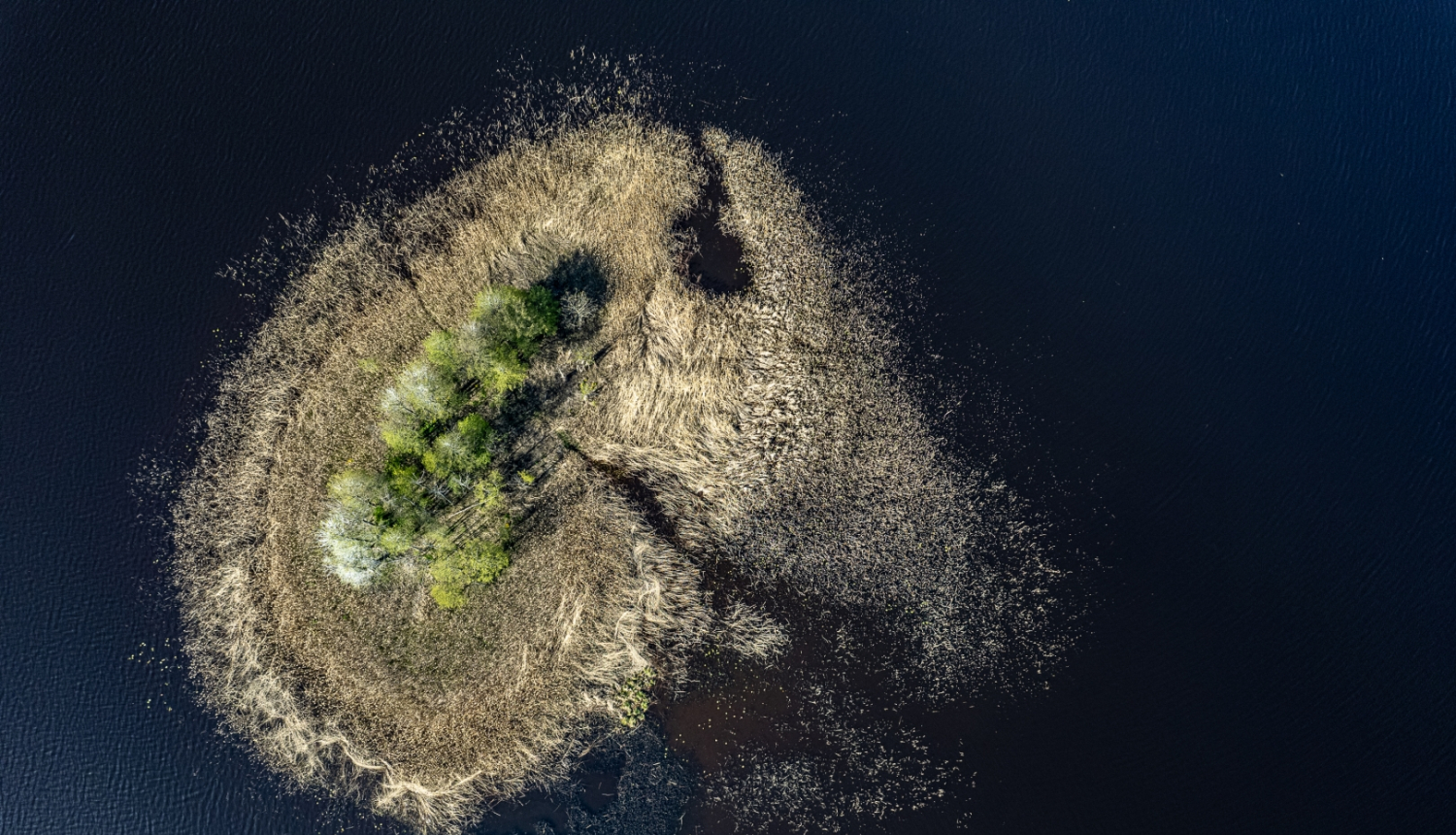 Inese Austruma "Lilastes ezers"