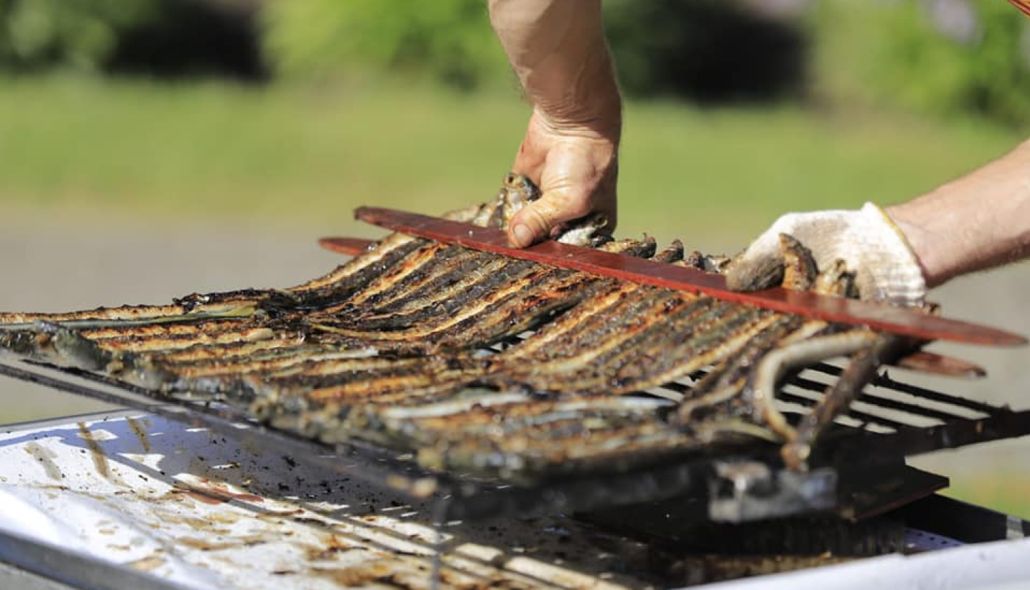 Cepti nēģi, Carnikava, Nēģu svētki