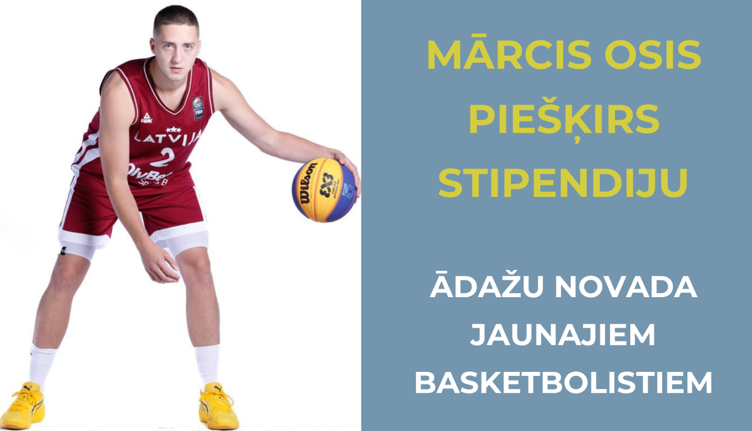 Mārcis Osis, stipendija