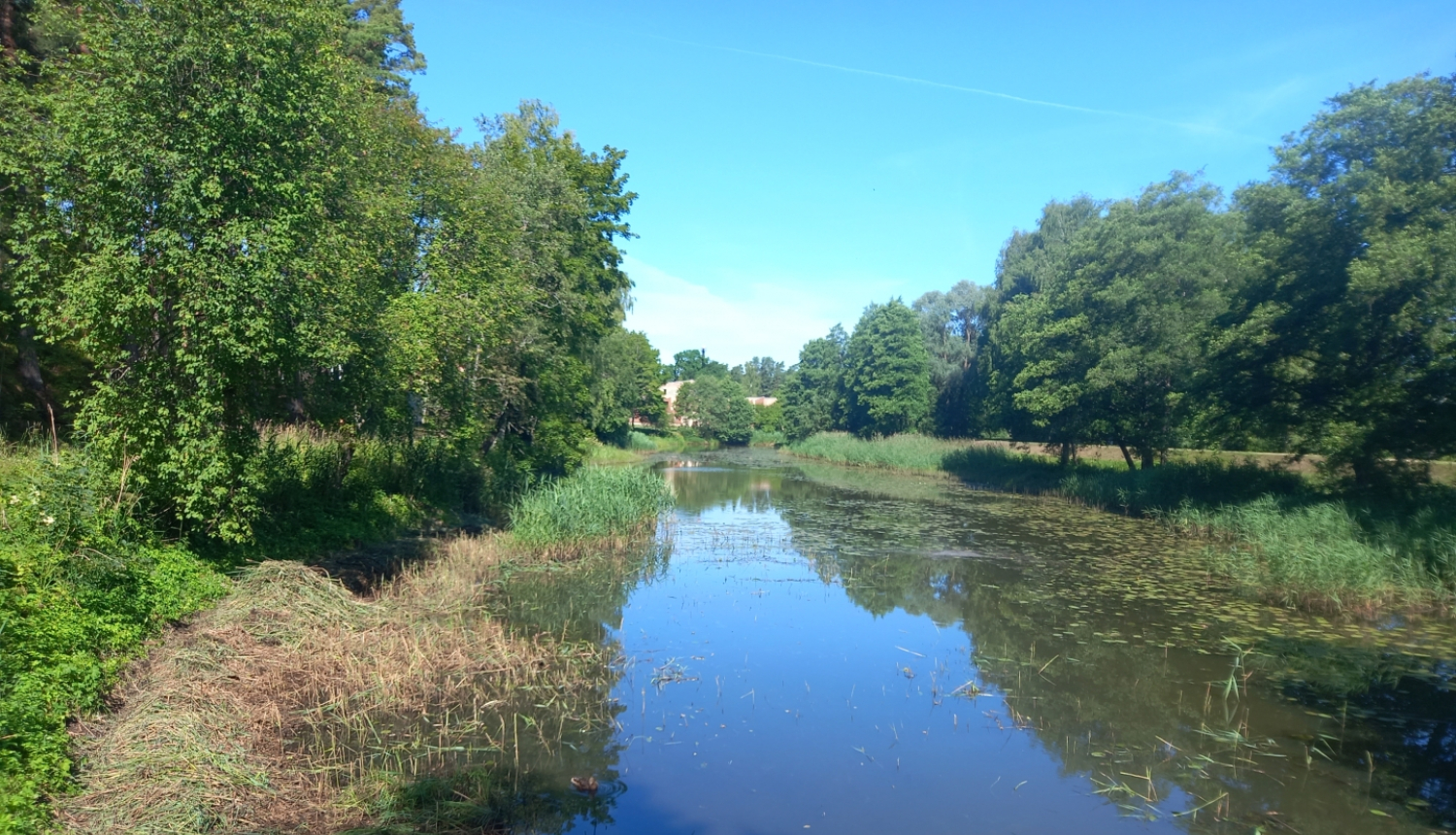 Vecgauja pēc talkas
