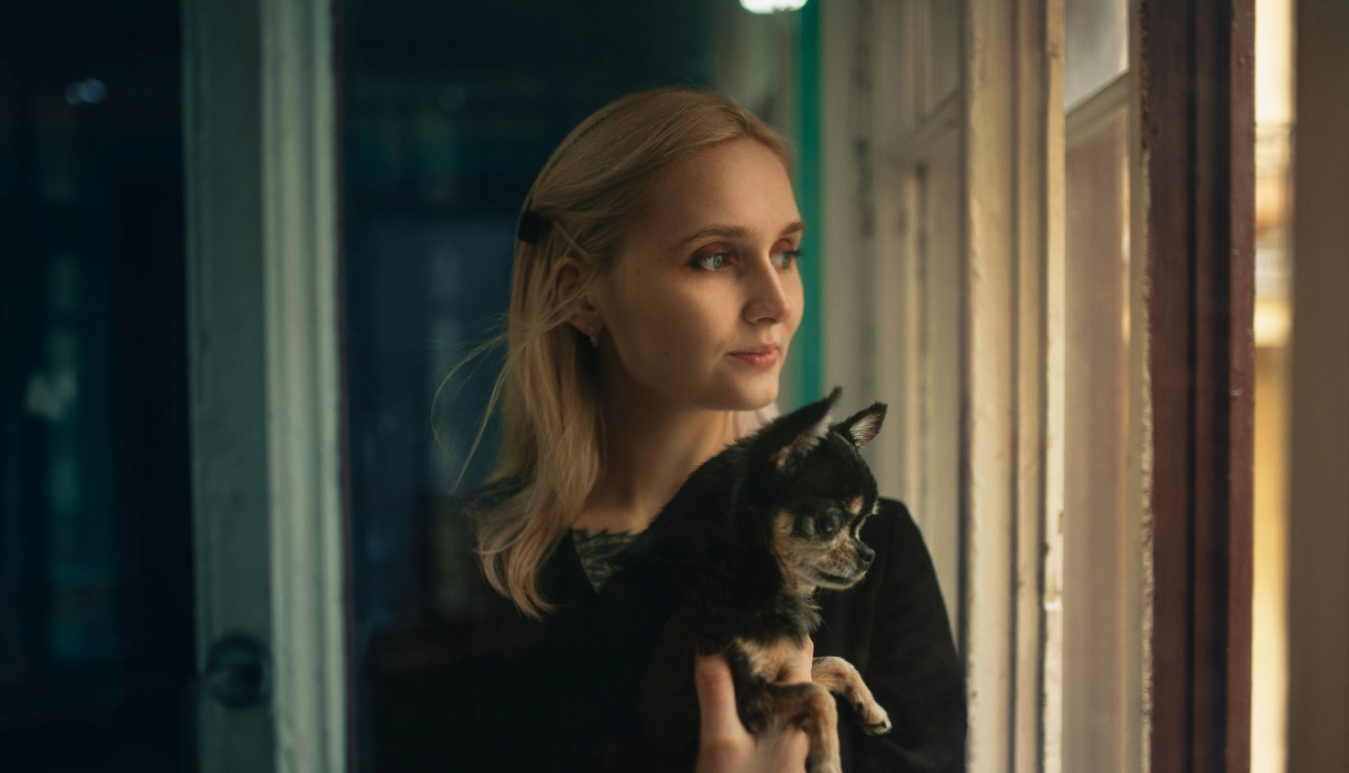 sieviete, suns, skats pa logu