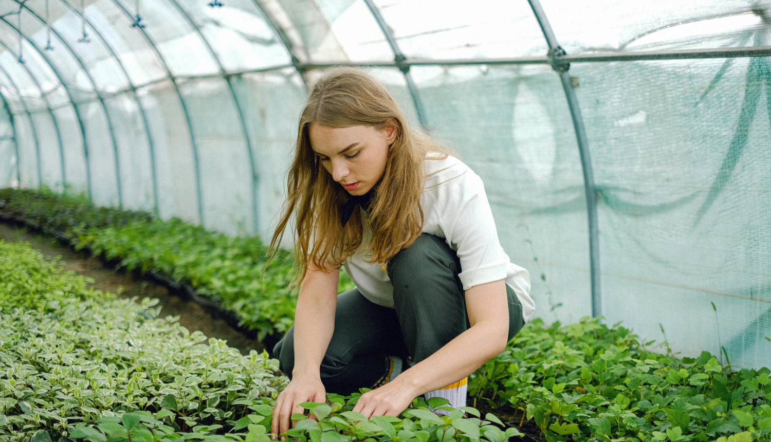 skolēnu vasaras nodarbinātība