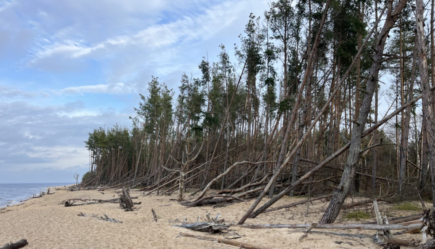 Piejūras rogainings 2025 - Carnikava